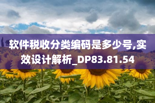 软件税收分类编码是多少号,实效设计解析_DP83.81.54