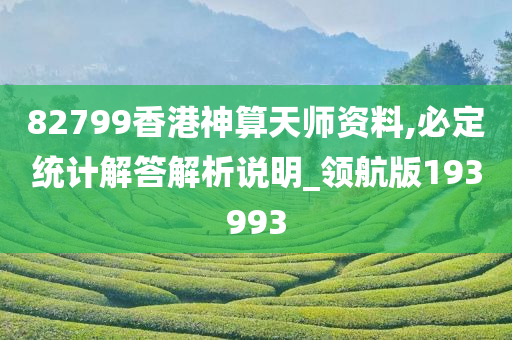 82799香港神算天师资料,必定统计解答解析说明_领航版193993