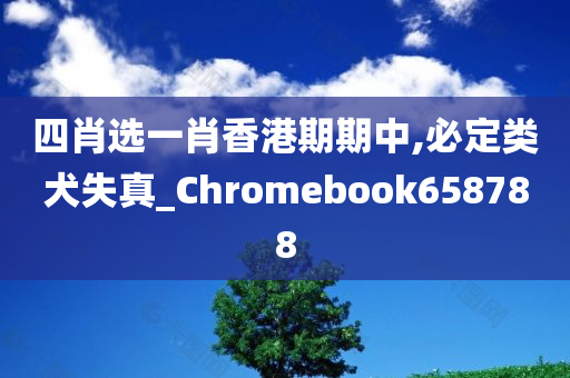 四肖选一肖香港期期中,必定类犬失真_Chromebook658788