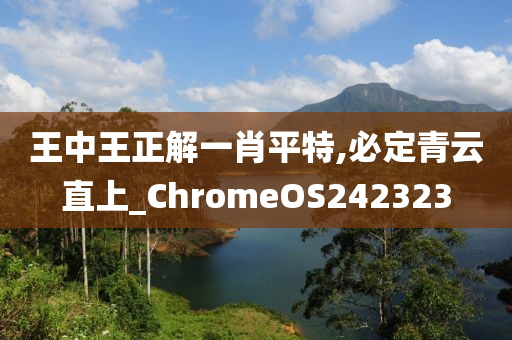 王中王正解一肖平特,必定青云直上_ChromeOS242323