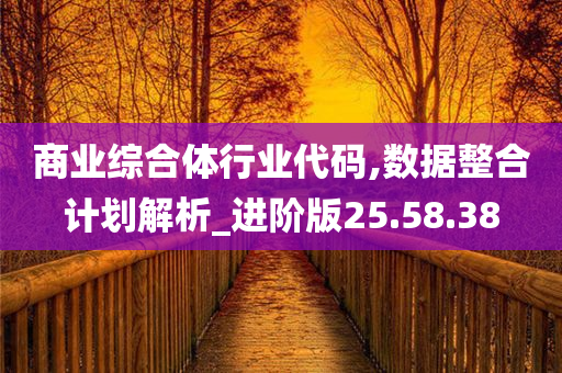 商业综合体行业代码,数据整合计划解析_进阶版25.58.38