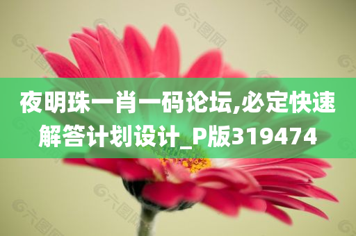 夜明珠一肖一码论坛,必定快速解答计划设计_P版319474