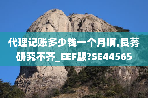 代理记账多少钱一个月啊,良莠研究不齐_EEF版?SE44565