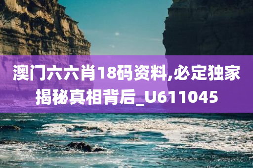 澳门六六肖18码资料,必定独家揭秘真相背后_U611045