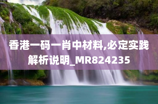 香港一码一肖中材料,必定实践解析说明_MR824235