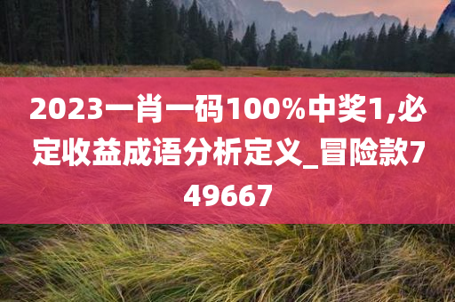 2023一肖一码100%中奖1,必定收益成语分析定义_冒险款749667