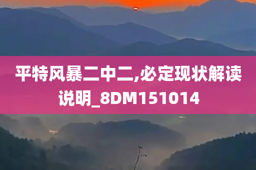 平特风暴二中二,必定现状解读说明_8DM151014