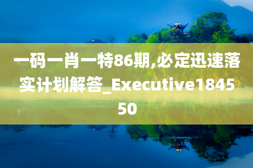 一码一肖一特86期,必定迅速落实计划解答_Executive184550