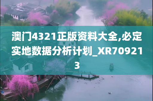 澳门4321正版资料大全,必定实地数据分析计划_XR709213