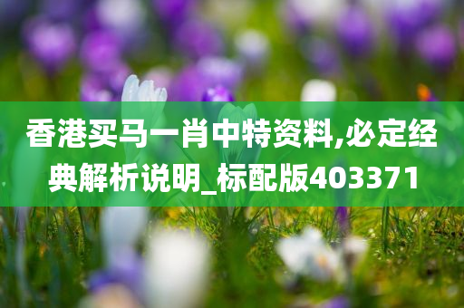 香港买马一肖中特资料,必定经典解析说明_标配版403371