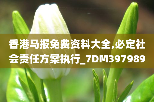 香港马报免费资料大全,必定社会责任方案执行_7DM397989