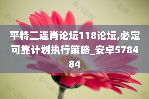 平特二连肖论坛118论坛,必定可靠计划执行策略_安卓578484