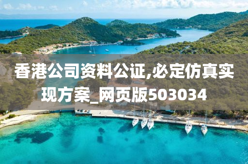 香港公司资料公证,必定仿真实现方案_网页版503034