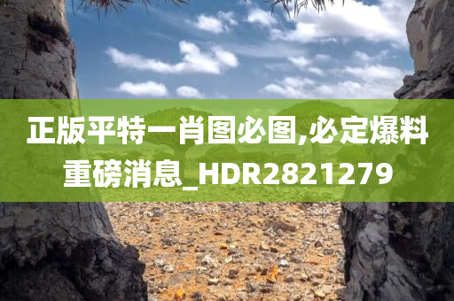 正版平特一肖图必图,必定爆料重磅消息_HDR2821279