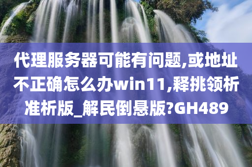 代理服务器可能有问题,或地址不正确怎么办win11,释挑领析准析版_解民倒悬版?GH489