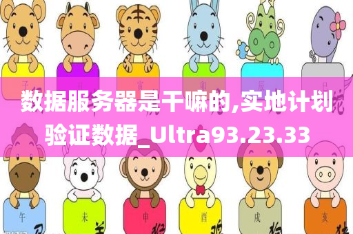 数据服务器是干嘛的,实地计划验证数据_Ultra93.23.33