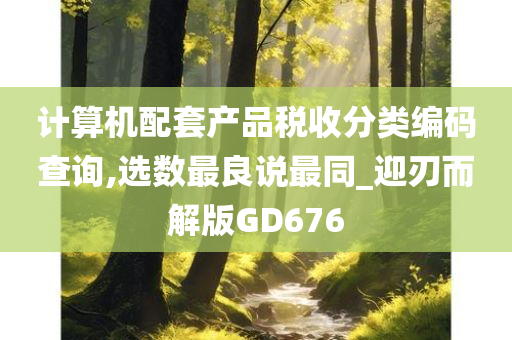 计算机配套产品税收分类编码查询,选数最良说最同_迎刃而解版GD676