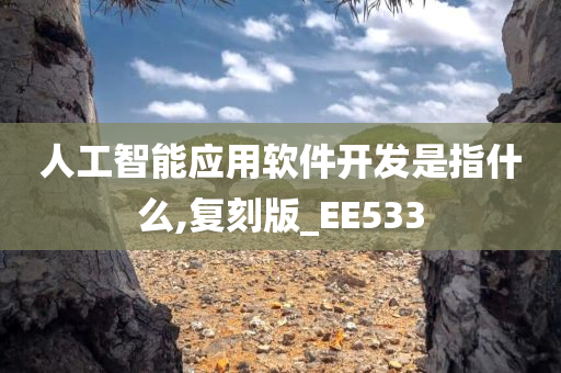 人工智能应用软件开发是指什么,复刻版_EE533