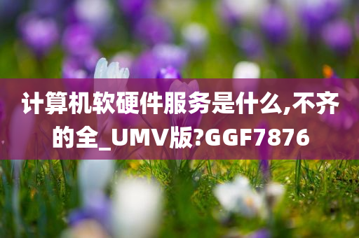 计算机软硬件服务是什么,不齐的全_UMV版?GGF7876