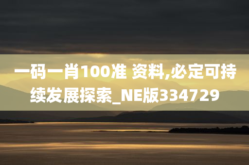 一码一肖100准 资料,必定可持续发展探索_NE版334729