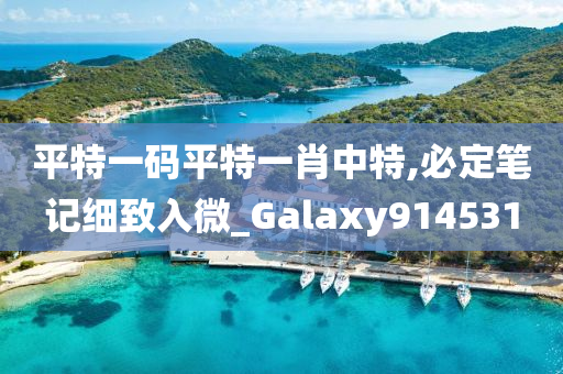 平特一码平特一肖中特,必定笔记细致入微_Galaxy914531