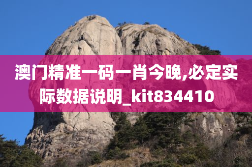 澳门精准一码一肖今晚,必定实际数据说明_kit834410