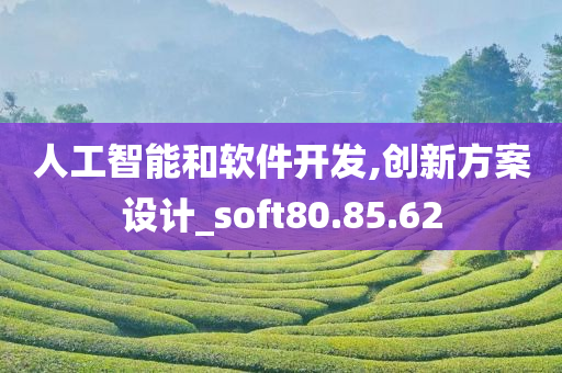 人工智能和软件开发,创新方案设计_soft80.85.62