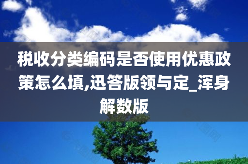 税收分类编码是否使用优惠政策怎么填,迅答版领与定_浑身解数版