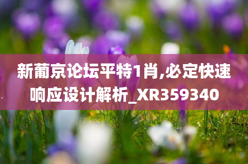 新葡京论坛平特1肖,必定快速响应设计解析_XR359340