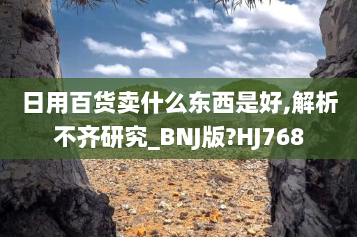 日用百货卖什么东西是好,解析不齐研究_BNJ版?HJ768