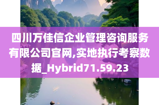 四川万佳信企业管理咨询服务有限公司官网,实地执行考察数据_Hybrid71.59.23