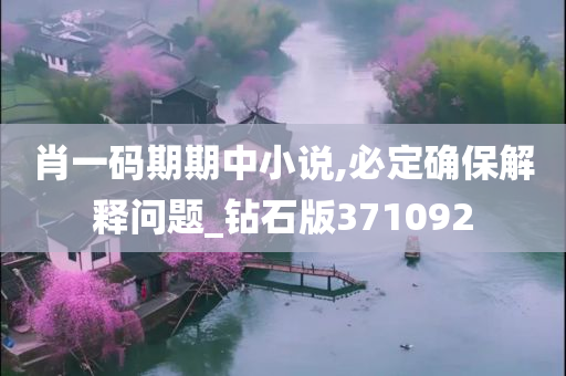 肖一码期期中小说,必定确保解释问题_钻石版371092