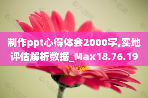 制作ppt心得体会2000字,实地评估解析数据_Max18.76.19