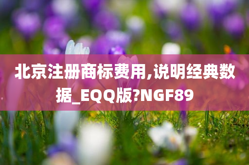 北京注册商标费用,说明经典数据_EQQ版?NGF89