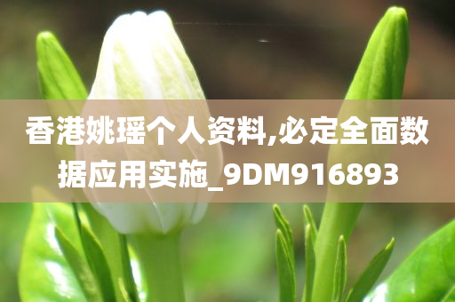 香港姚瑶个人资料,必定全面数据应用实施_9DM916893