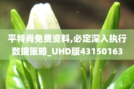 平特肖免费资料,必定深入执行数据策略_UHD版43150163