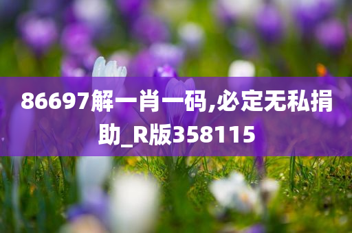 86697解一肖一码,必定无私捐助_R版358115