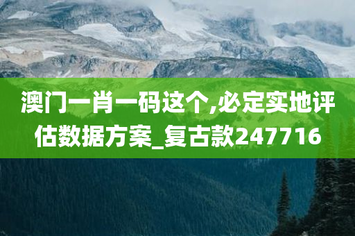 澳门一肖一码这个,必定实地评估数据方案_复古款247716