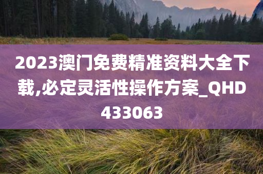 2023澳门免费精准资料大全下载,必定灵活性操作方案_QHD433063