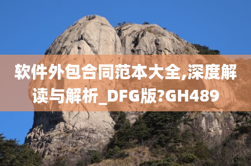 软件外包合同范本大全,深度解读与解析_DFG版?GH489