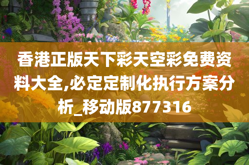 香港正版天下彩天空彩免费资料大全,必定定制化执行方案分析_移动版877316