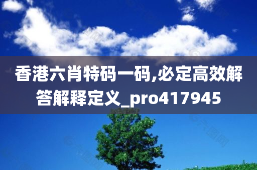 香港六肖特码一码,必定高效解答解释定义_pro417945