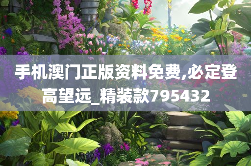 手机澳门正版资料免费,必定登高望远_精装款795432