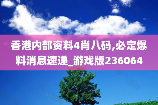 香港内部资料4肖八码,必定爆料消息速递_游戏版236064