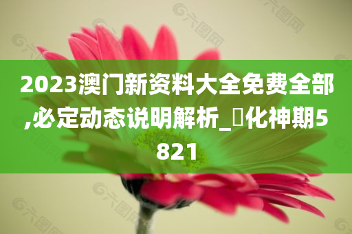 2023澳门新资料大全免费全部,必定动态说明解析_‌化神期5821