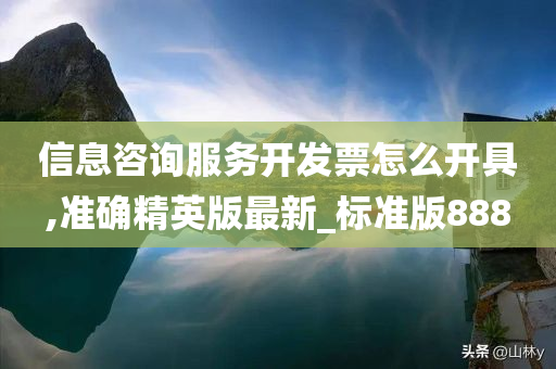 信息咨询服务开发票怎么开具,准确精英版最新_标准版888