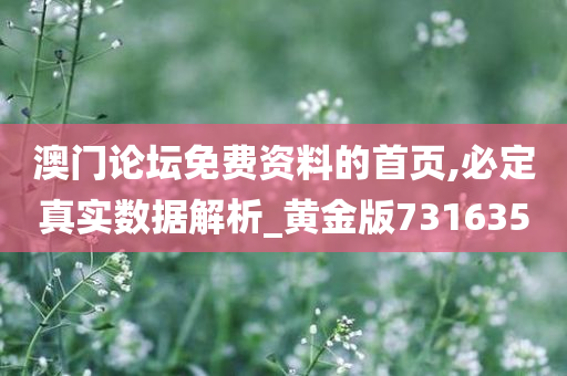 澳门论坛免费资料的首页,必定真实数据解析_黄金版731635