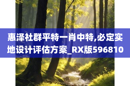 惠泽社群平特一肖中特,必定实地设计评估方案_RX版596810