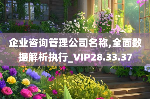 企业咨询管理公司名称,全面数据解析执行_VIP28.33.37