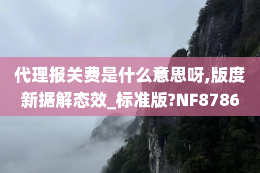 代理报关费是什么意思呀,版度新据解态效_标准版?NF8786